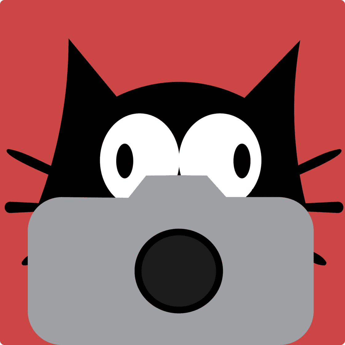 Concept brand identity created for a pet photography application